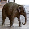 Western Style copper elephant statue for garden decoration